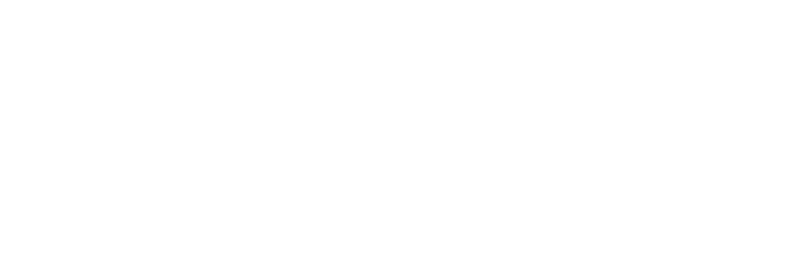 Swiss Institute of Artificial Intelligence
